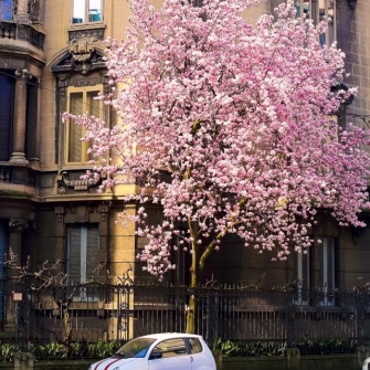 Primavera a Milano