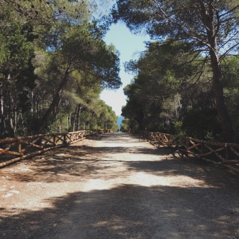 Parco Naturale di Porto Selvaggio, Nardò (Lecce)