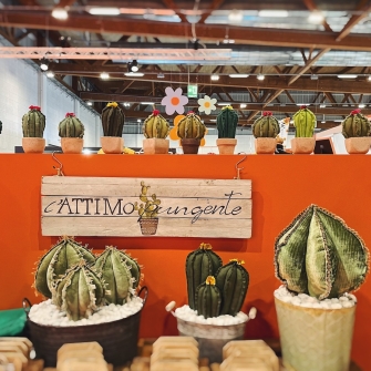 I cactus che puoi abbracciare senza pungerti de L'Attimo Pungente, anche in formato kit fai da te!