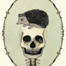 yojik-on-a-skull---pen-on-paper-and-digital-coloringByNoaAlon