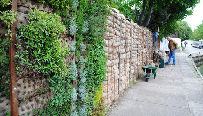 herb wall east london