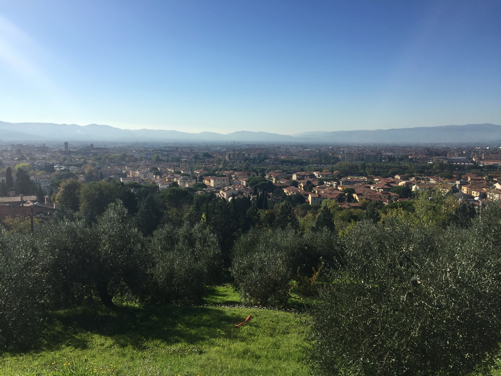 Vista su Prato - 2016